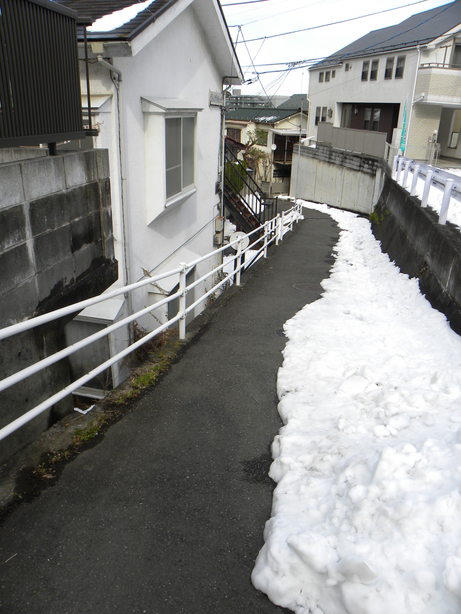 partially cleaned snow path